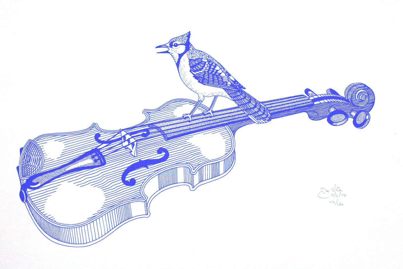 Blue Jay and Fiddle